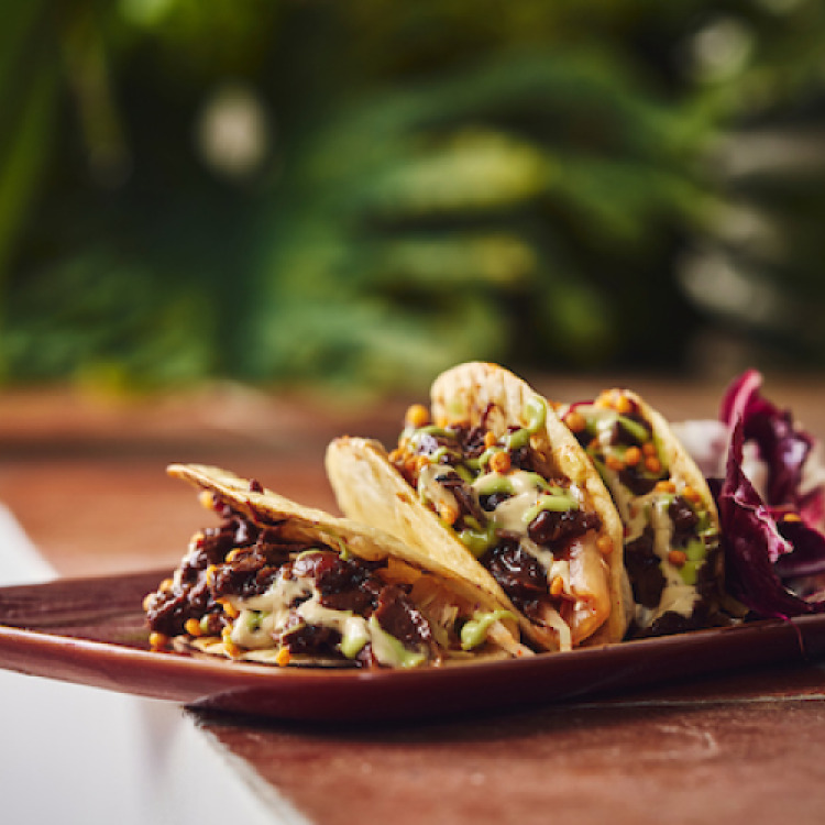 Taco coréen au gibier