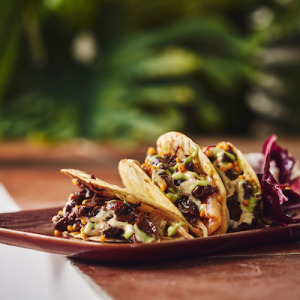 Taco coréen au gibier